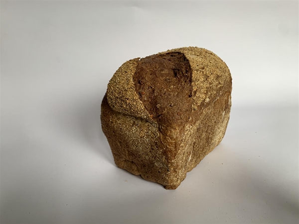 Vikorn volkoren